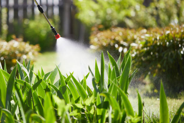 24/7 Emergency Ant Control experts in Chattahoochee, FL