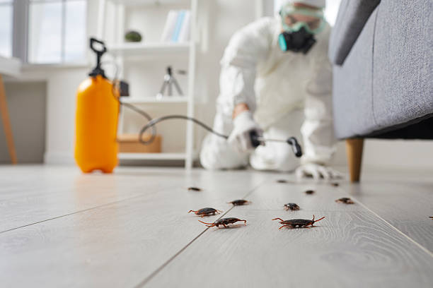 Trusted Fumigation Services service in Chattahoochee, FL - Nex Pest Control
